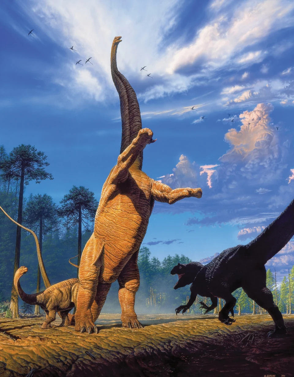 A Barosaurus rears over her juvenile to face an approaching Allosaurus among conifers.