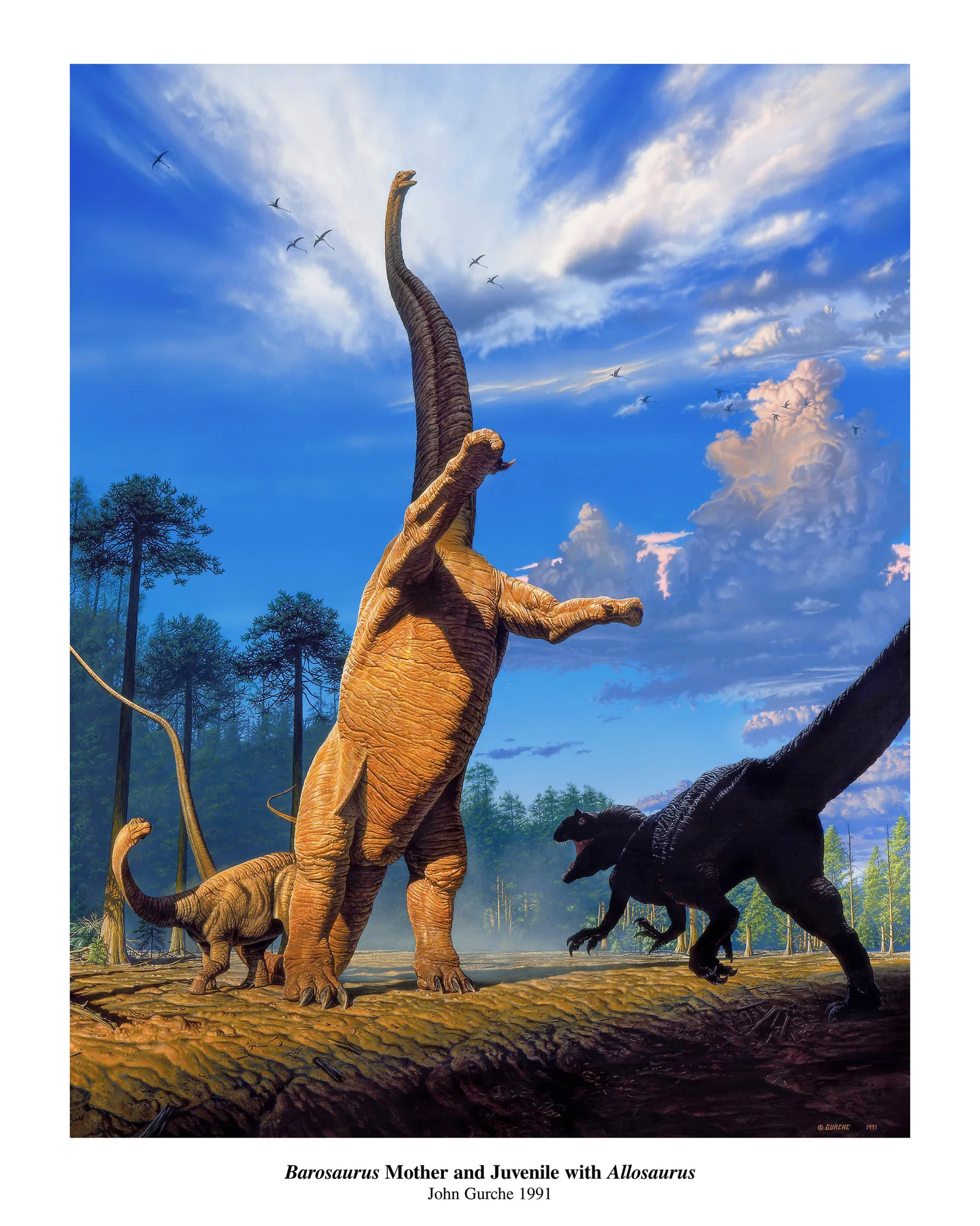 The printed sheet, showing the full poster with its border and caption.